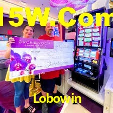 Secure Login Lobowin